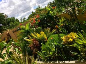 un jardín lleno de muchos tipos diferentes de plantas en Victoria Palms Hotel, en Suva