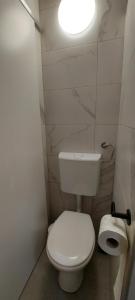 a bathroom with a white toilet and a light at Apartma Gaber 110 in Zreče