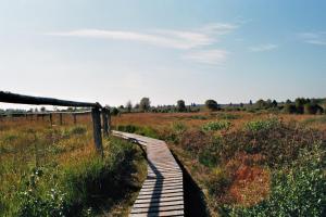 Naturlandschaft in der Nähe des Ferienhauses