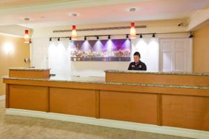 a woman standing behind a bar in a hotel at Chicago O'Hare Airport in Chicago