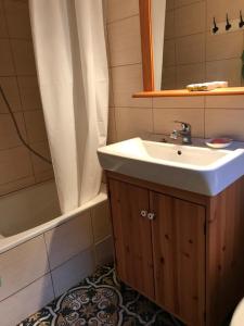 a bathroom with a sink and a shower with a mirror at Na Husovce in Teplice