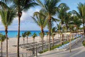 a beach with palm trees and chairs and the ocean at Riu Yucatan - All Inclusive in Playa del Carmen