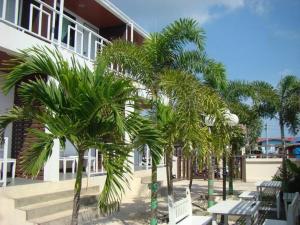 grupa palm przed budynkiem w obiekcie Sea beach Koh Larn 2 Hotel w mieście Ko Larn