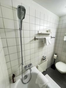 ein Bad mit einer Dusche, einem Waschbecken und einem WC in der Unterkunft Über den Dächern von Zürich am Flughafen in Kloten