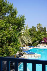 a view of a swimming pool with trees and water at Basilica Holiday Resort in Paphos