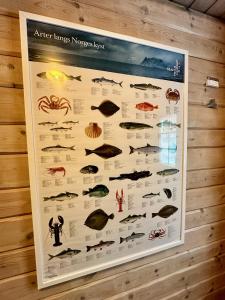 Fotografie z fotogalerie ubytování Lofoten Troll Point v destinaci Bøstad