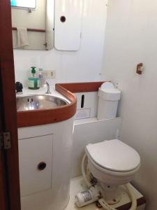 Baño pequeño con aseo y lavamanos en Boat & Breakfast Sorrento sailing, en Castellammare di Stabia
