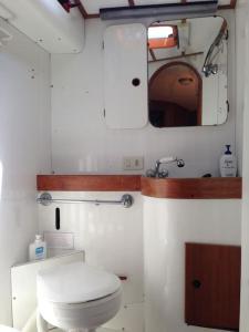 Baño pequeño con aseo y espejo en Boat & Breakfast Sorrento sailing, en Castellammare di Stabia