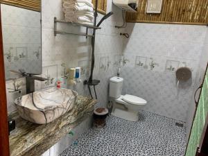 een badkamer met een wastafel en een toilet bij Trang An River View Homestay in Ninh Binh
