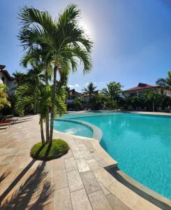 un palmier installé à côté d'une piscine dans l'établissement Residencial Paraiso by Alex, à Bayahibe