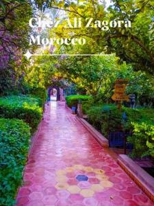 a walkway in a park with trees and a sign at Chez Ali in Zagora