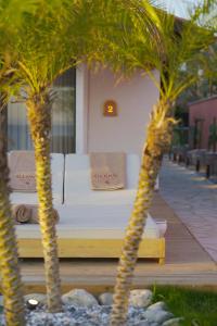 Gallery image of Glenn Hotel & Beach in Ayvacık