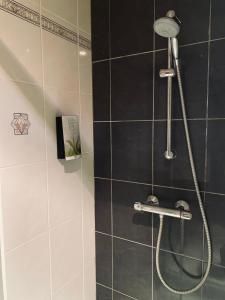 Koupelna v ubytování HOTEL BORNEM