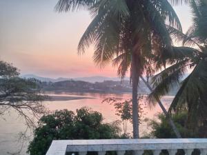 - une vue sur une étendue d'eau bordée de palmiers dans l'établissement KhopChai Guesthouse, à Houei Sai