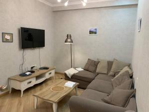 a living room with a couch and a tv at Сozy three-room apartment with 2 separate bedrooms in the center of Tbilisi in Tbilisi City