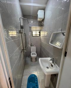 La petite salle de bains est pourvue de toilettes et d'un lavabo. dans l'établissement Enugu Airbnb / shortlet Serviced Apartment, à Enugu