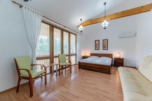 オラヴィツェにあるMEANDER THERMAL & SKI REZORT ORAVICEのベッドルーム(ベッド1台、椅子、ソファ付)