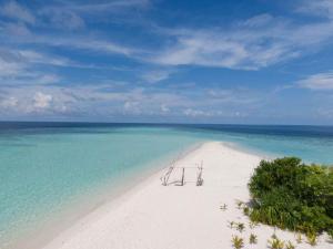 una playa blanca con un grupo de sillas. en Turtle Maldives, en Omadhoo