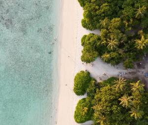 an overhead view of a beach with palm trees and the ocean at Turtle Maldives in Omadhoo