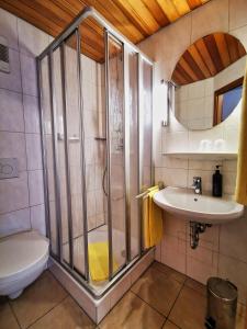 a bathroom with a shower and a toilet and a sink at Zum Franziskaner in Grainau