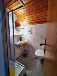 a bathroom with a toilet and a sink at Zum Franziskaner in Grainau