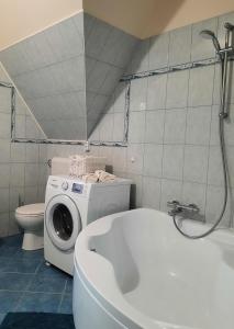 a bathroom with a washing machine and a washer at Villa Prima Wellness Badacsony in Badacsonytomaj +39 photos