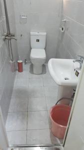 ein kleines Bad mit WC und Waschbecken in der Unterkunft Enugu Airbnb / shortlet Serviced Apartment in Enugu