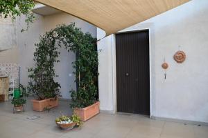 korytarz z czarnymi drzwiami i roślinami w obiekcie Casa Philomena - Irpinia w mieście Lioni