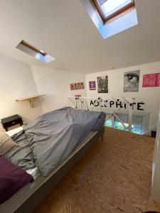 a bedroom with a bed and a skylight at Maisonnette en duplex 25 M2, Pantin porte de Paris in Pantin