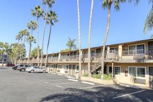 a hotel with palm trees in a parking lot at Rodeway Inn Carlsbad in Carlsbad