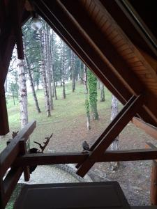a view of a forest from a window in a cabin at Prenoćište/Restoran Lovac in Bihać