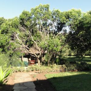 a garden with a bench and trees and grass at Ol Moran Tented Camp in Ololaimutiek +2 photos