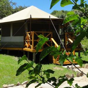 a gazebo with a tent in a field at Ol Moran Tented Camp in Ololaimutiek