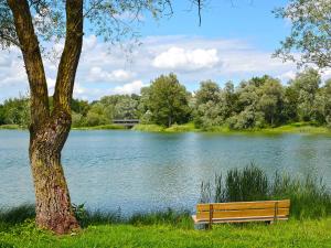 un banco sentado junto a un árbol junto a un lago en Apparthotel Ampertal, en Kranzberg