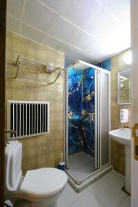 イスタンブールにあるHOTELOZBEKのバスルーム(シャワー、トイレ、シンク付)