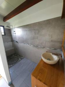 A bathroom at Villa dattier pour 6 personnes