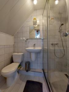 弗瓦迪斯瓦沃沃的住宿－Willa Jack，浴室配有卫生间、盥洗盆和淋浴。