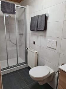 a bathroom with a toilet and a glass shower at Pension Zum Grünen Wald in Feuchtwangen