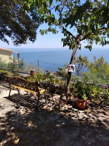 Příroda nedaleko apartmánu + 5 fotografií
