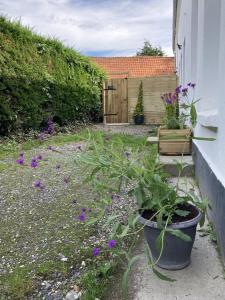 Zahrada ubytování Gite 2 Le Loft du ChAtÔ + 2 fotografie
