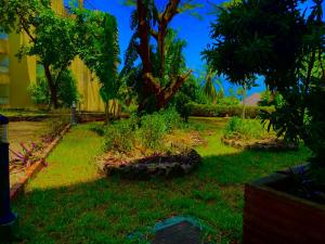 a garden with trees and plants in the grass at Julia Ocean View Villa in Ukunda
