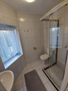 a bathroom with a shower and a sink and a toilet at Willa Jack in Władysławowo