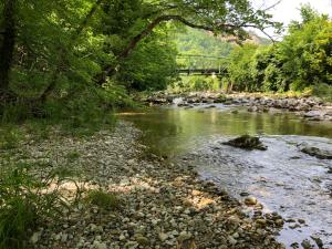 einen Fluss mit Felsen und einer Brücke im Hintergrund in der Unterkunft Herrnhof Appartement Adele in Neunkirchen