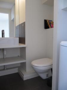 ein Badezimmer mit einem weißen WC und einem Waschbecken in der Unterkunft Rooftop terrasse 360° hypercentre in Toulouse