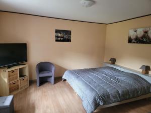 une chambre avec un lit et une télévision à écran plat dans l'établissement L'Orée du Bois, à Dossenheim-sur-Zinsel