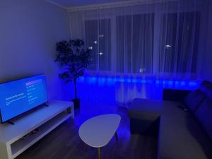 En tv och/eller ett underhållningssystem på Kalnciema flat