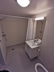 a bathroom with a sink and a mirror and a toilet at BiG Bed & Breakfast in Grimstad
