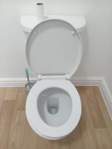 a white toilet in a bathroom with a brush at Vic Vic property in Oldham