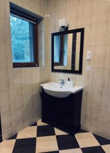 a bathroom with a sink and a mirror at Dworek Rynarzewo 