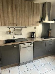 a kitchen with a sink and a dishwasher at Le cocon du stade de France in Saint-Denis